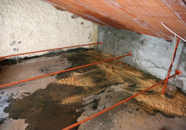 Attic Moisture Repair